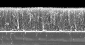 Vertically Aligned Carbon Nanotubes